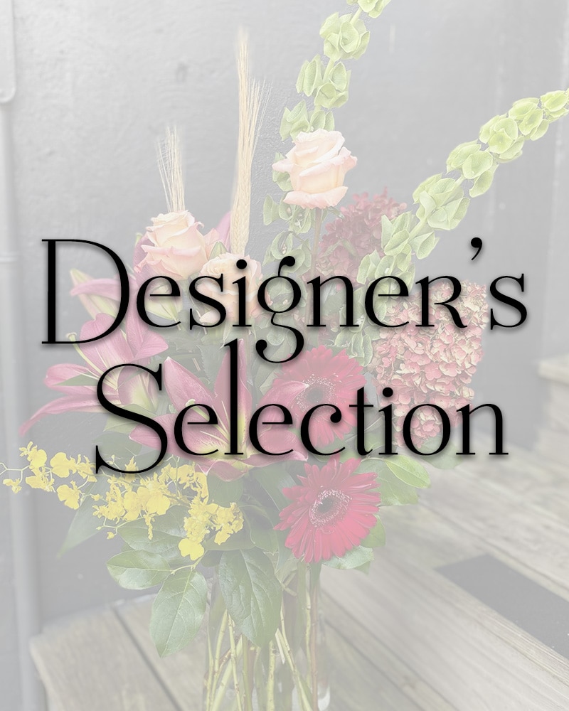 Designer Selection